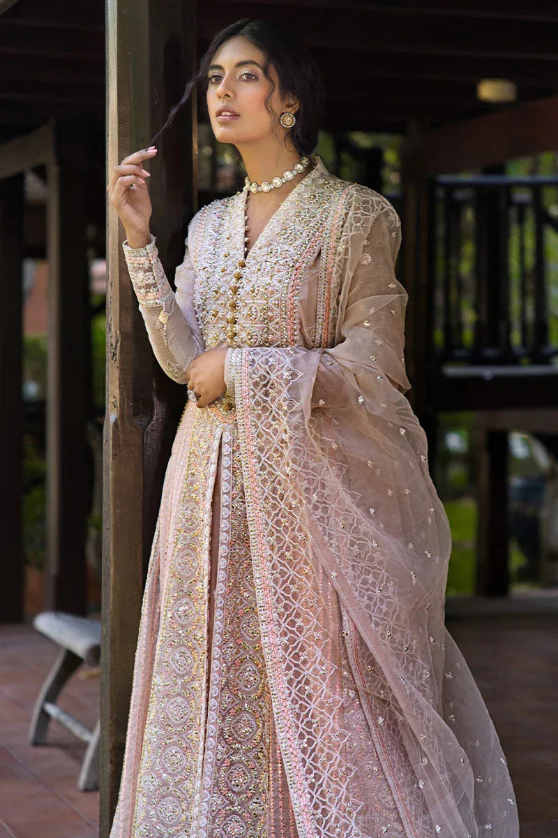 Mushq | Roohi Luxury Collection | Anika - Aqsa Fabrics