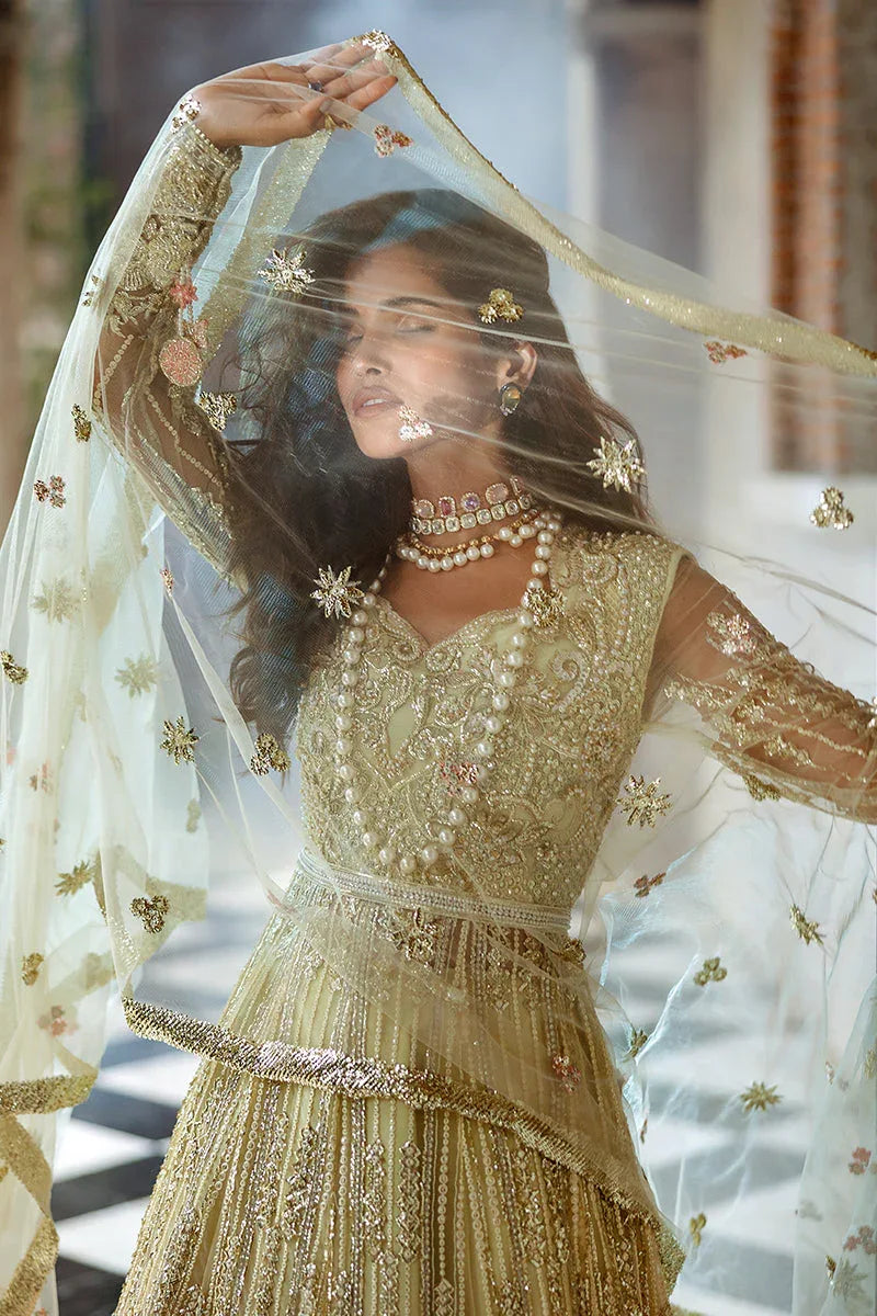 Mushq | Stargust Wedding Collection 24 |  Cosmic Couture - Aqsa Fabrics
