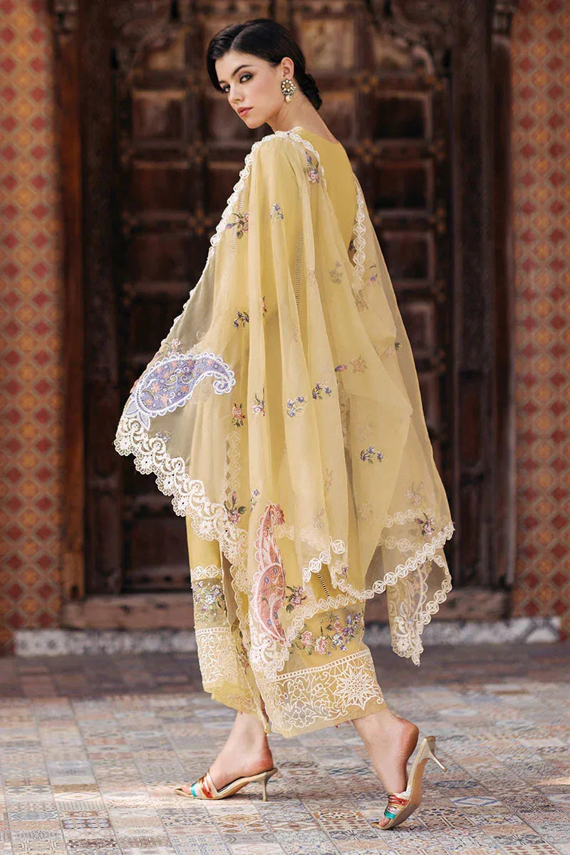 Mushq | Tehreem Luxury Pret 24 | GOLDEN GLIMMER - Aqsa Fabrics