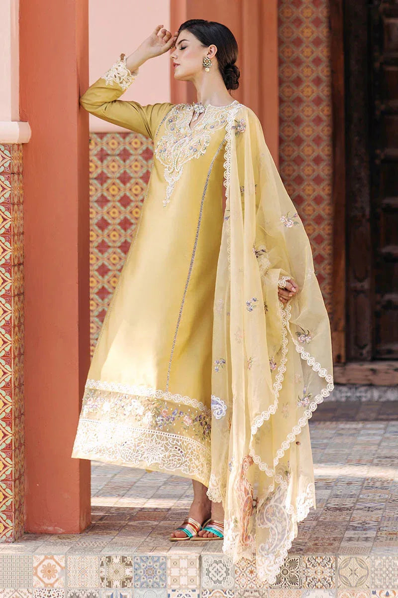 Mushq | Tehreem Luxury Pret 24 | GOLDEN GLIMMER - Aqsa Fabrics