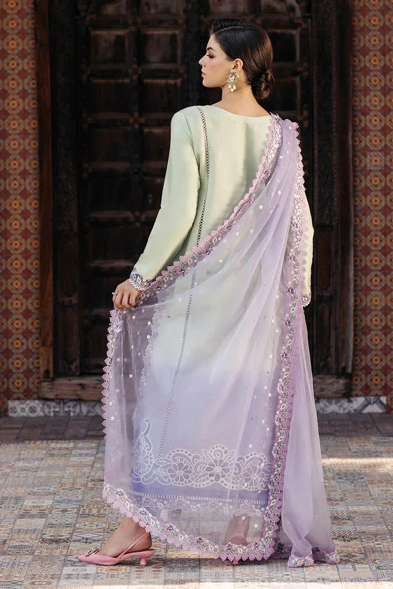 Mushq | Tehreem Luxury Pret 24 | STARRY SERENADE - Aqsa Fabrics