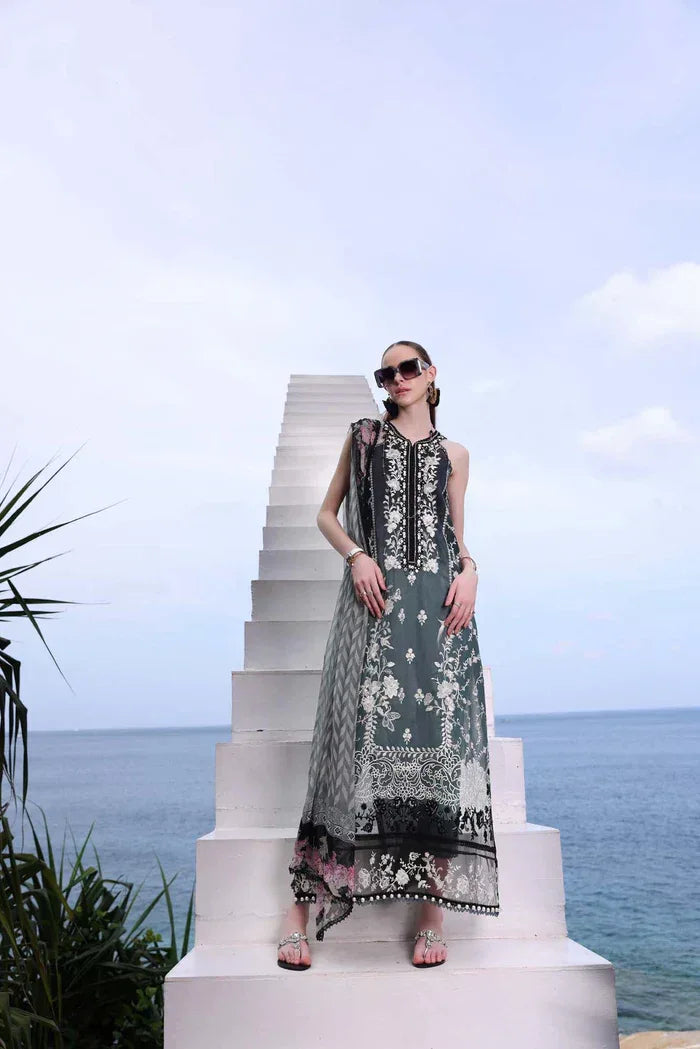 Noor by Saadia Asad | Luxe Printkari 24 | D2-B - Aqsa Fabrics