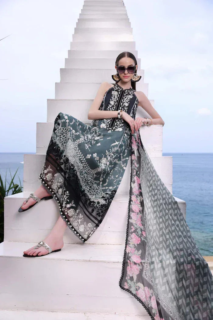 Noor by Saadia Asad | Luxe Printkari 24 | D2-B - Aqsa Fabrics