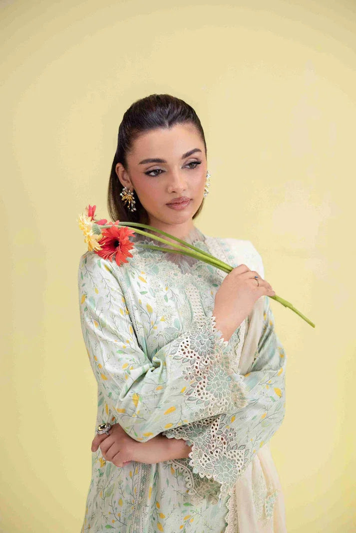 Aabyaan | Eid Pret 25 | AVEN AP-01 - Aqsa Fabrics