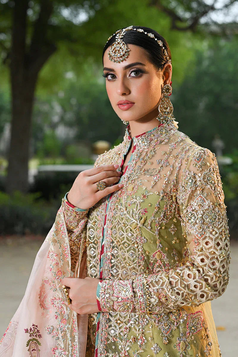 Qalamkar | Singhar Wedding Collection | RF-07 HALENA - Aqsa Fabrics