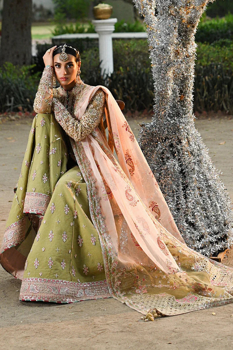 Qalamkar | Singhar Wedding Collection | RF-07 HALENA - Aqsa Fabrics