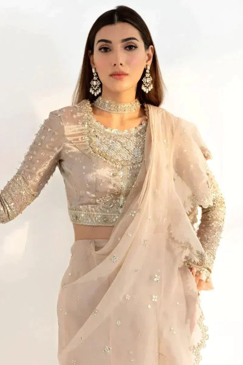 Qalamkar | Heer Ranjha 23 | HR-08 REENA - Aqsa Fabrics