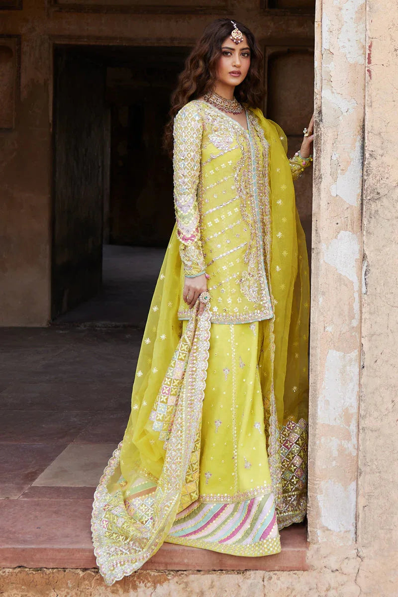 Qalamkar | Shadmani Luxury Formals |  Dania SH-05 - Aqsa Fabrics