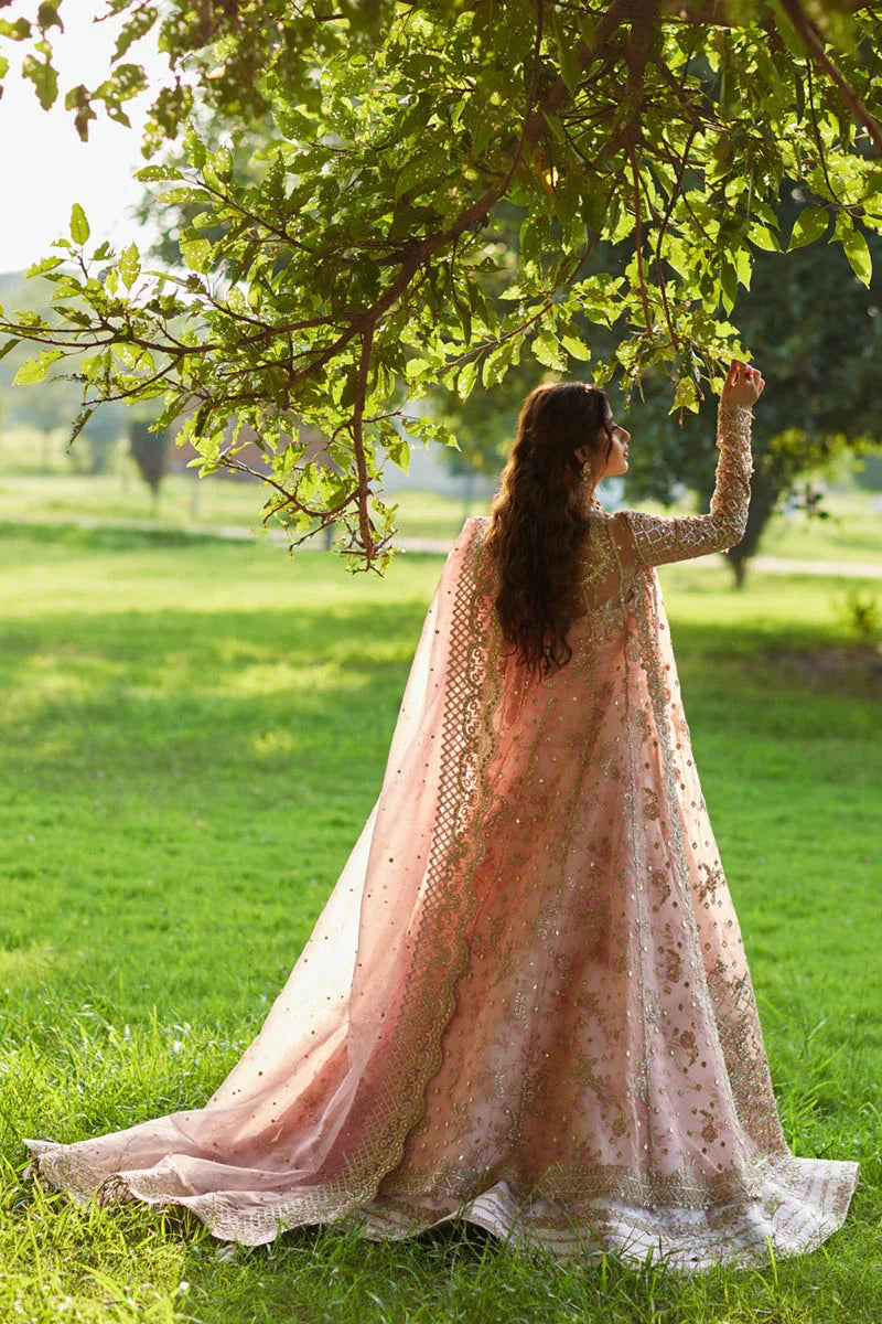Qalamkar | Shadmani Luxury Formals |  Saira SH-08 - Aqsa Fabrics