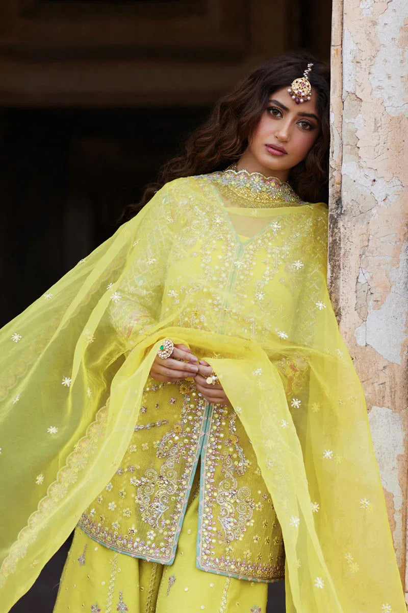 Qalamkar | Shadmani Luxury Formals |  Dania SH-05 - Aqsa Fabrics