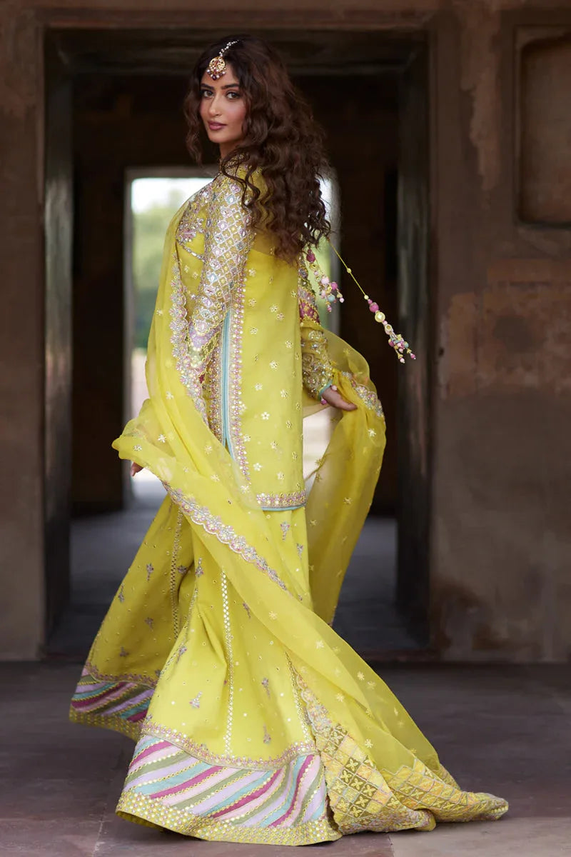 Qalamkar | Shadmani Luxury Formals |  Dania SH-05 - Aqsa Fabrics
