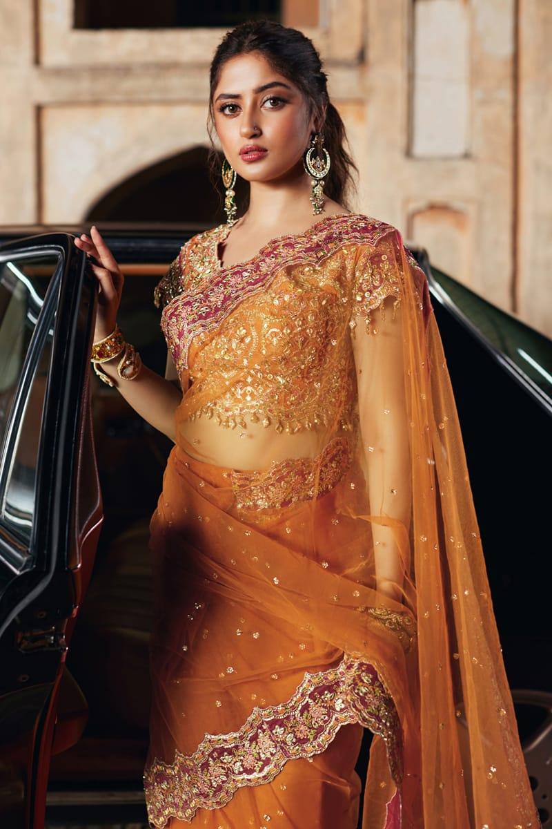 Qalamkar | Shadmani Luxury Formals |  Raniya SH-02 - Aqsa Fabrics