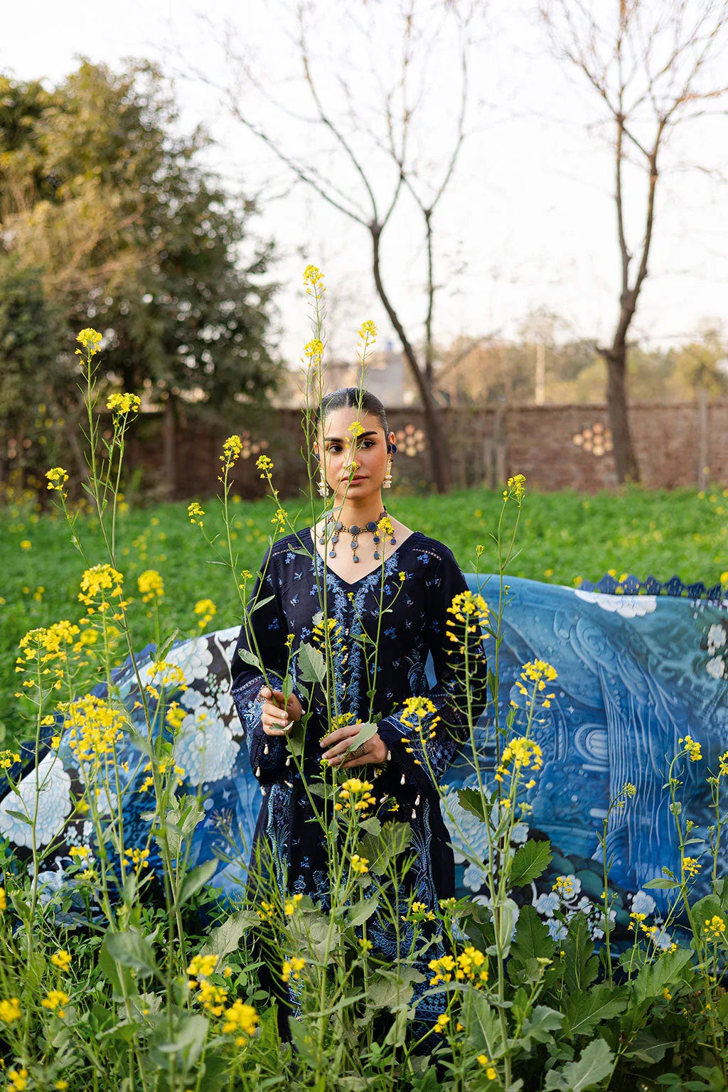 Ramsha | Riwayat Lawn Collection | Y-1203 - Aqsa Fabrics