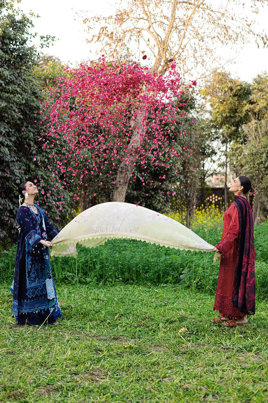 Ramsha | Riwayat Lawn Collection | Y-1204 - Aqsa Fabrics