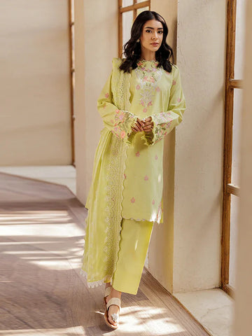 Rajbari | Amari Hybrid Jacquard Edition | Amari Jacquard - 08 - Aqsa Fabrics