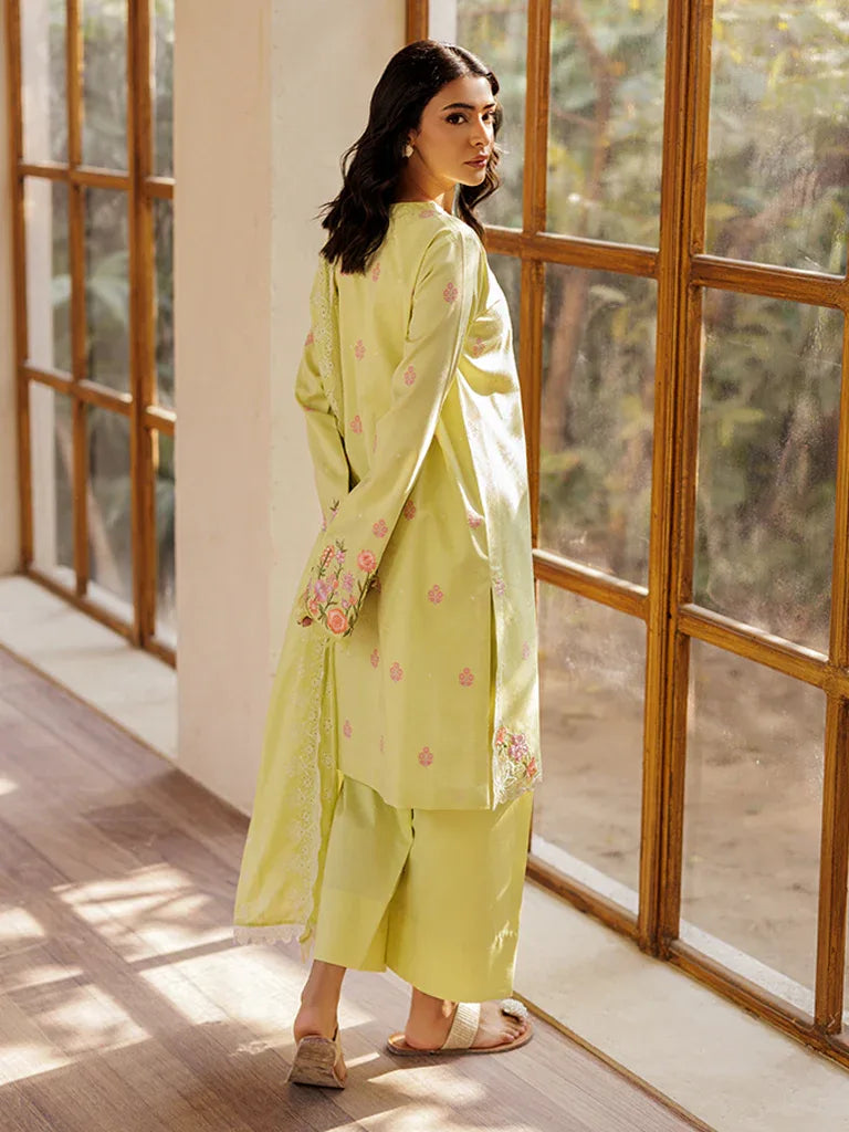 Rajbari | Amari Hybrid Jacquard Edition | Amari Jacquard - 08 - Aqsa Fabrics