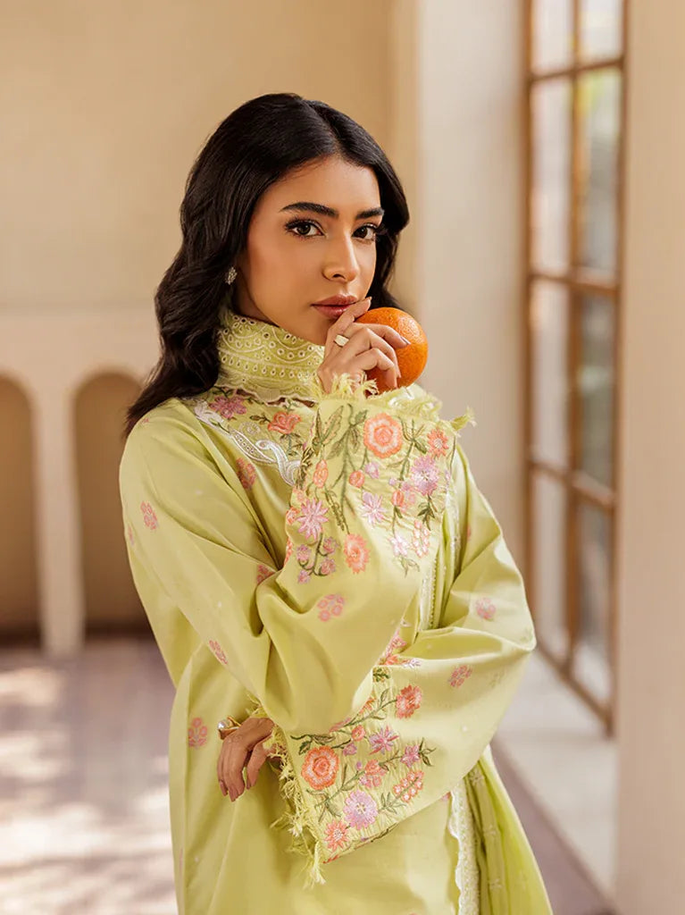 Rajbari | Amari Hybrid Jacquard Edition | Amari Jacquard - 08 - Aqsa Fabrics