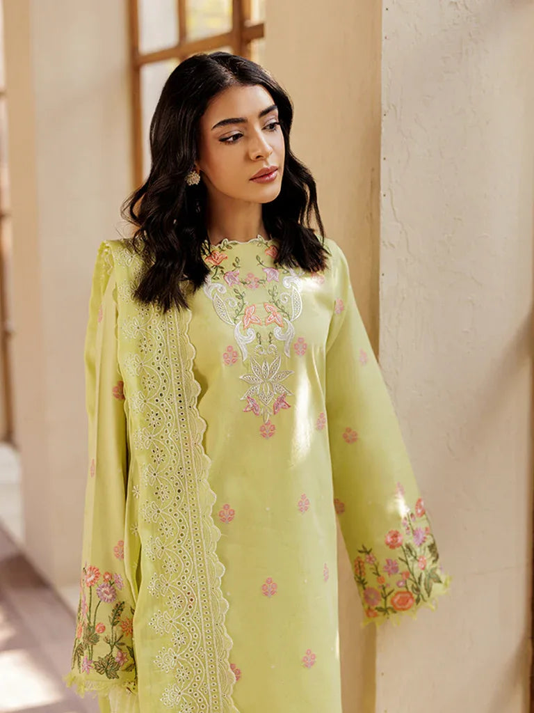 Rajbari | Amari Hybrid Jacquard Edition | Amari Jacquard - 08 - Aqsa Fabrics