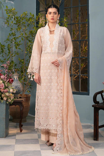 Rajbari | Chikankari Edition 24 | RJB-03 - Aqsa Fabrics