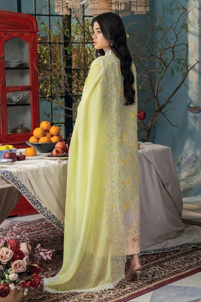 Rajbari | Chikankari Edition 24 | RJB-07 - Aqsa Fabrics