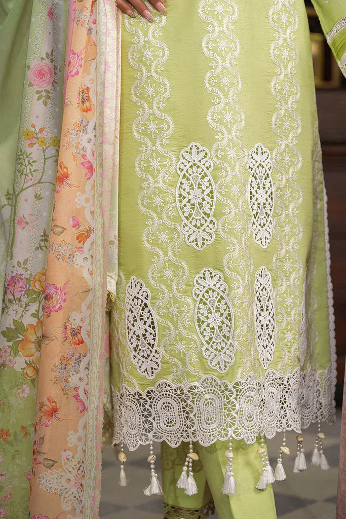Rajbari | Chikankari Edition 24 | RJB-11 - Aqsa Fabrics