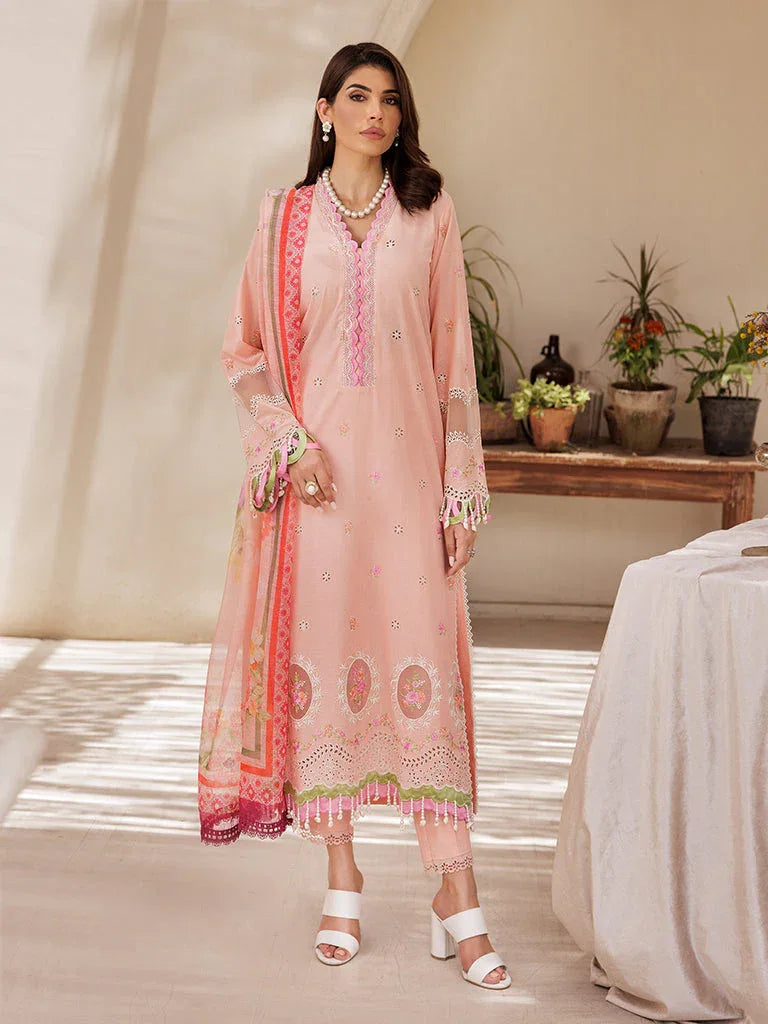 Rajbari | Nissa Chikankari Edition 25 | D# - 03 - Aqsa Fabrics