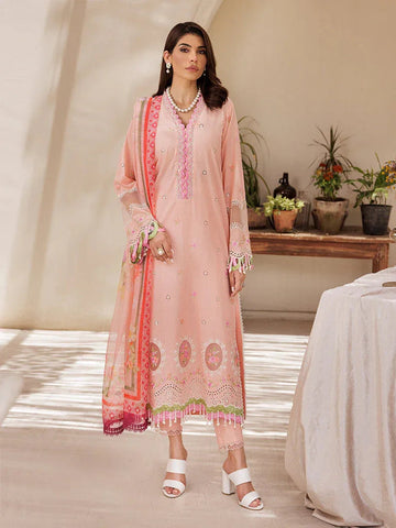 Rajbari | Nissa Chikankari Edition 25 | D# - 03 - Aqsa Fabrics