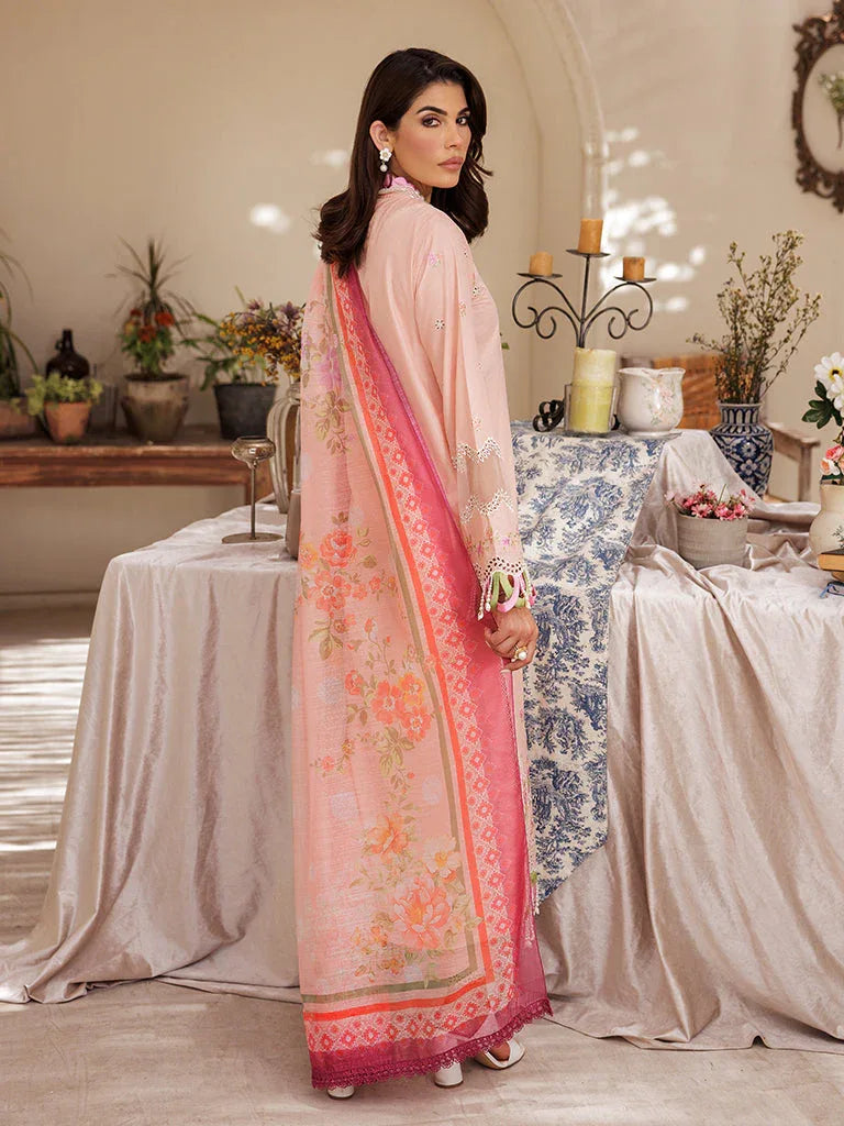 Rajbari | Nissa Chikankari Edition 25 | D# - 03 - Aqsa Fabrics