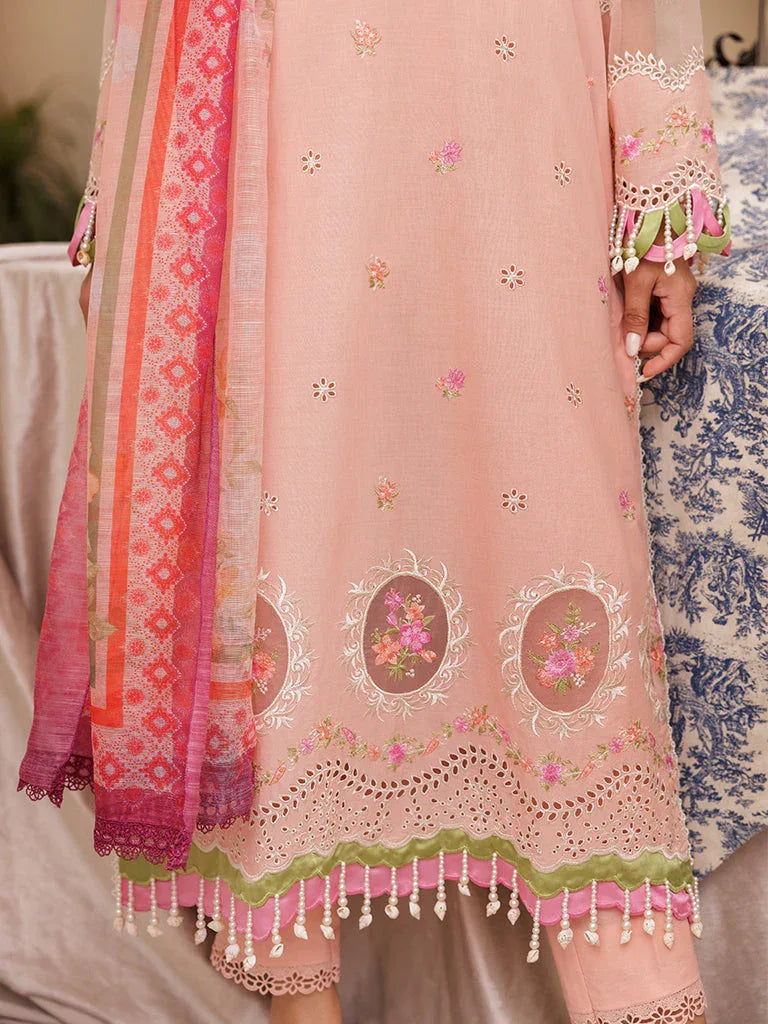 Rajbari | Nissa Chikankari Edition 25 | D# - 03 - Aqsa Fabrics