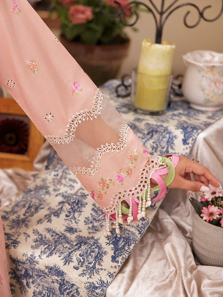 Rajbari | Nissa Chikankari Edition 25 | D# - 03 - Aqsa Fabrics