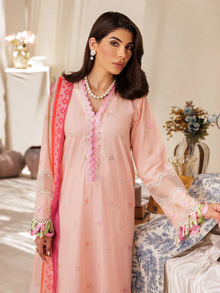 Rajbari | Nissa Chikankari Edition 25 | D# - 03 - Aqsa Fabrics
