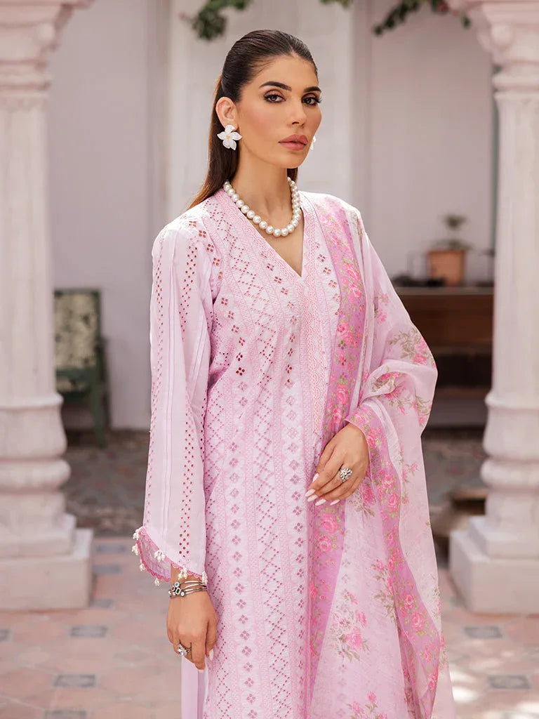 Rajbari | Nissa Chikankari Edition 25 | D# - 06 - Aqsa Fabrics
