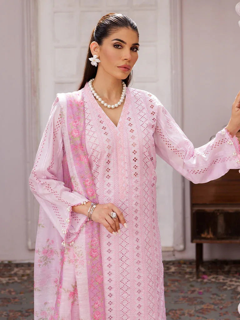Rajbari | Nissa Chikankari Edition 25 | D# - 06 - Aqsa Fabrics