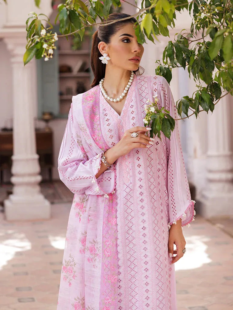Rajbari | Nissa Chikankari Edition 25 | D# - 06 - Aqsa Fabrics