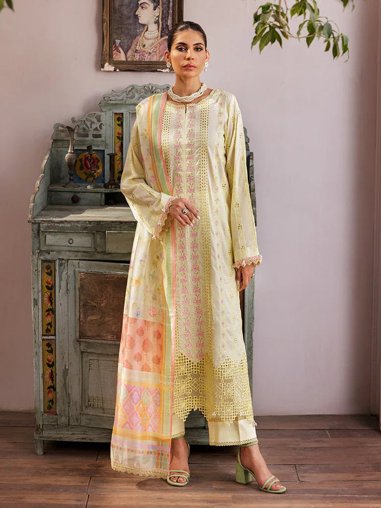 Rajbari | Nissa Chikankari Edition 25 | D# - 09 - Aqsa Fabrics