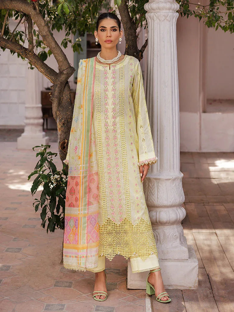 Rajbari | Nissa Chikankari Edition 25 | D# - 09 - Aqsa Fabrics