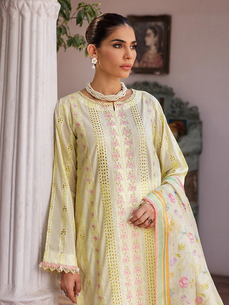 Rajbari | Nissa Chikankari Edition 25 | D# - 09 - Aqsa Fabrics
