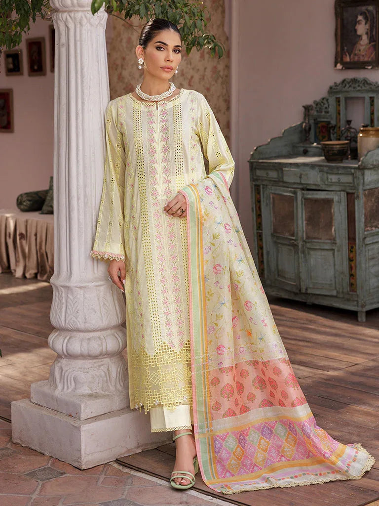 Rajbari | Nissa Chikankari Edition 25 | D# - 09 - Aqsa Fabrics