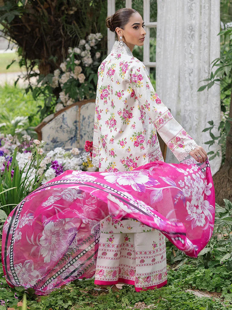Rajbari | Schiffli Printkari Exclusive | Schiffli Printkari - 02 - Aqsa Fabrics