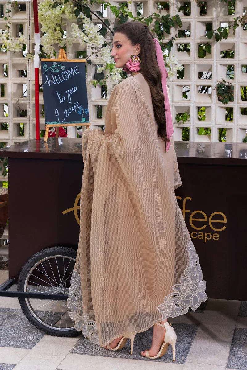 Rangrasiya | Carnation Luxury Festive Edit 25 | Kaia - Aqsa Fabrics