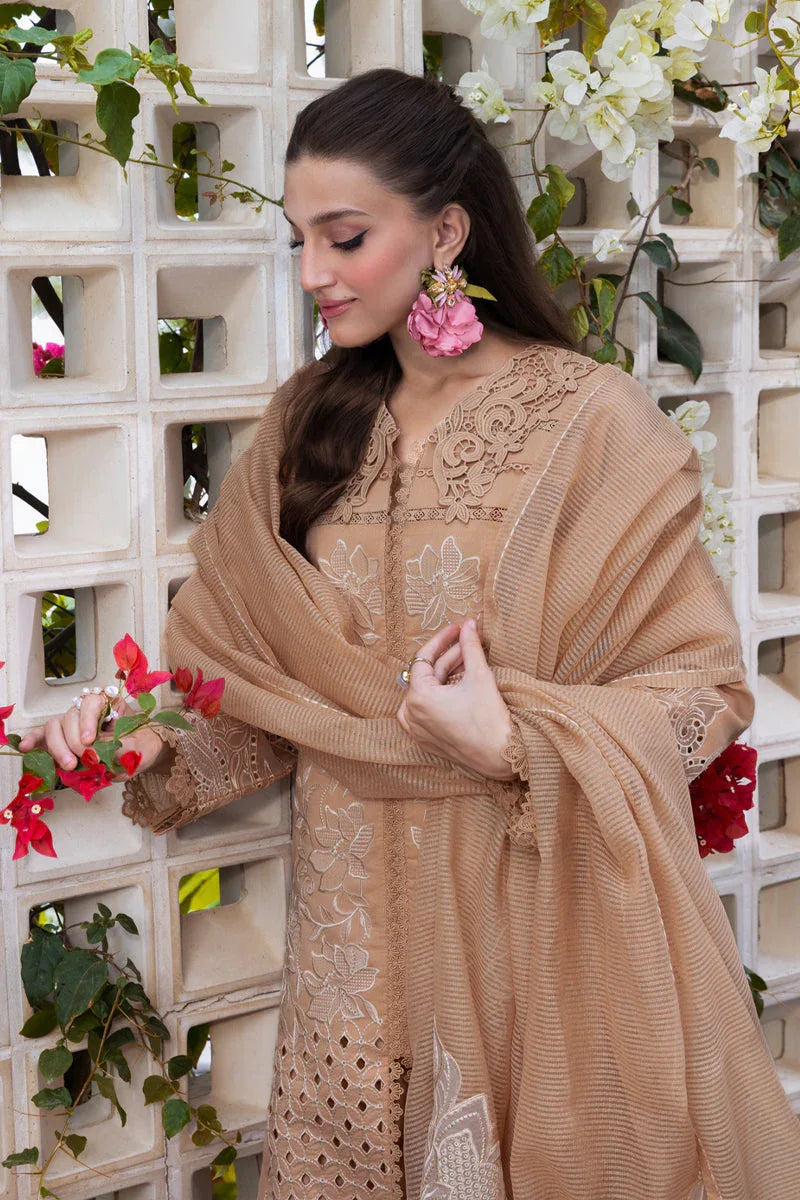 Rangrasiya | Carnation Luxury Festive Edit 25 | Kaia - Aqsa Fabrics
