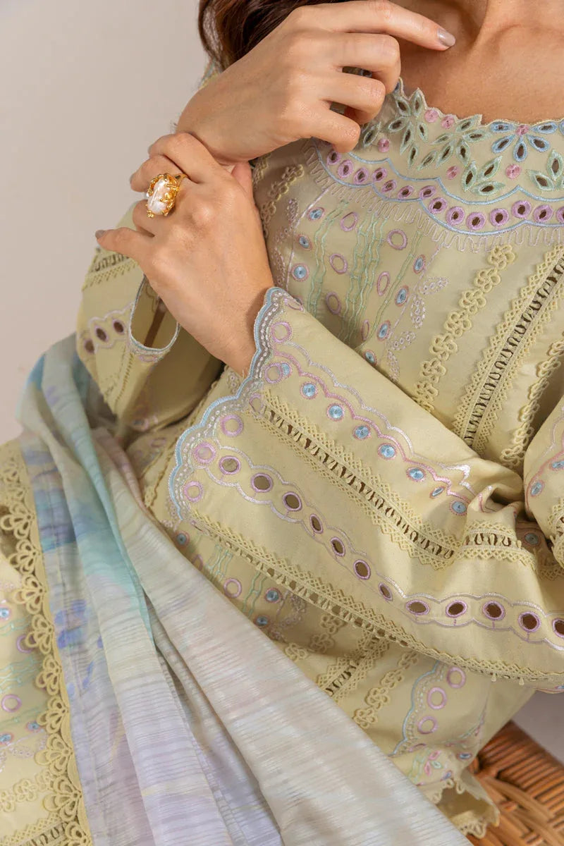 Rangrasiya | Carnation Luxury Festive Edit 25 | Nora - Aqsa Fabrics