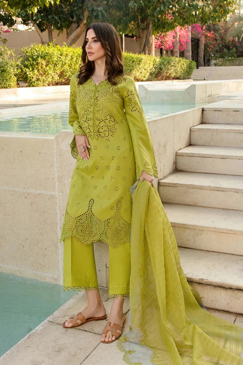 Rangrasiya | Carnation Summer 24 | FAREESIA - Aqsa Fabrics