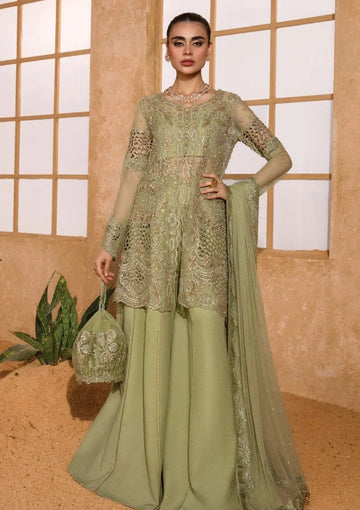 Rangrasiya | Chatoyer Wedding Formals 24 | D#10 - Mehr - Aqsa Fabrics