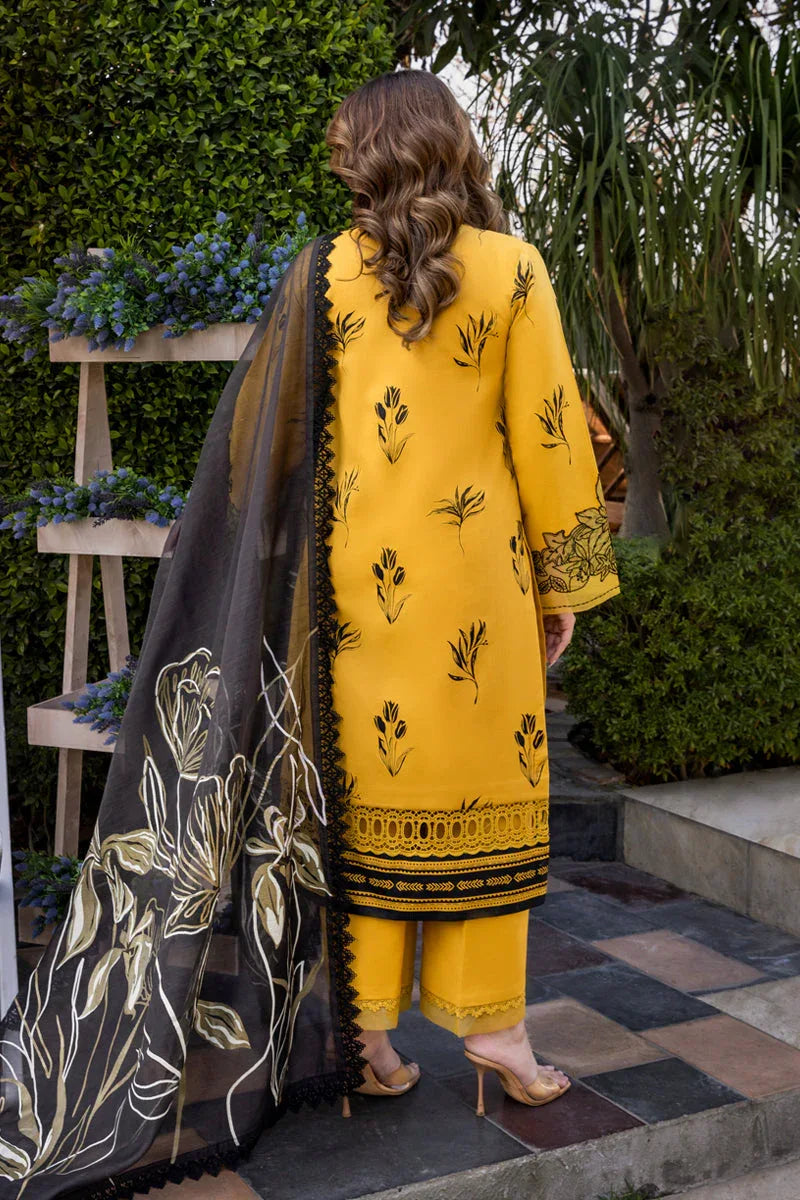 Rangrasiya | Florence Summer Edit 25 | Mirha - Aqsa Fabrics