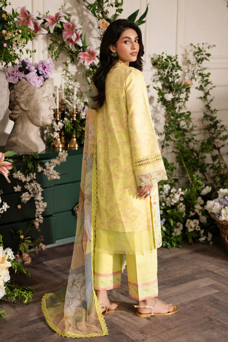 Rangrasiya | Lifestyle Embroidered Edit 24 | SUN KISSED - Aqsa Fabrics