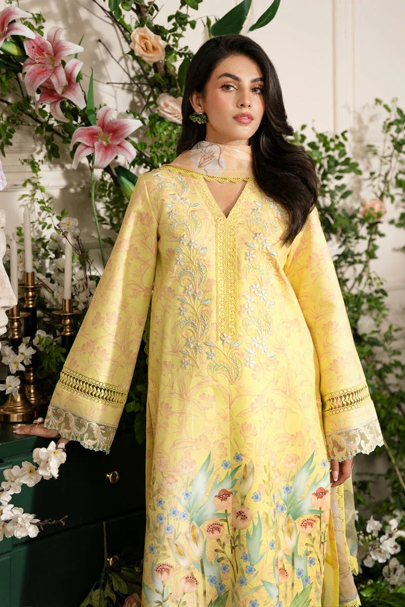 Rangrasiya | Lifestyle Embroidered Edit 24 | SUN KISSED - Aqsa Fabrics