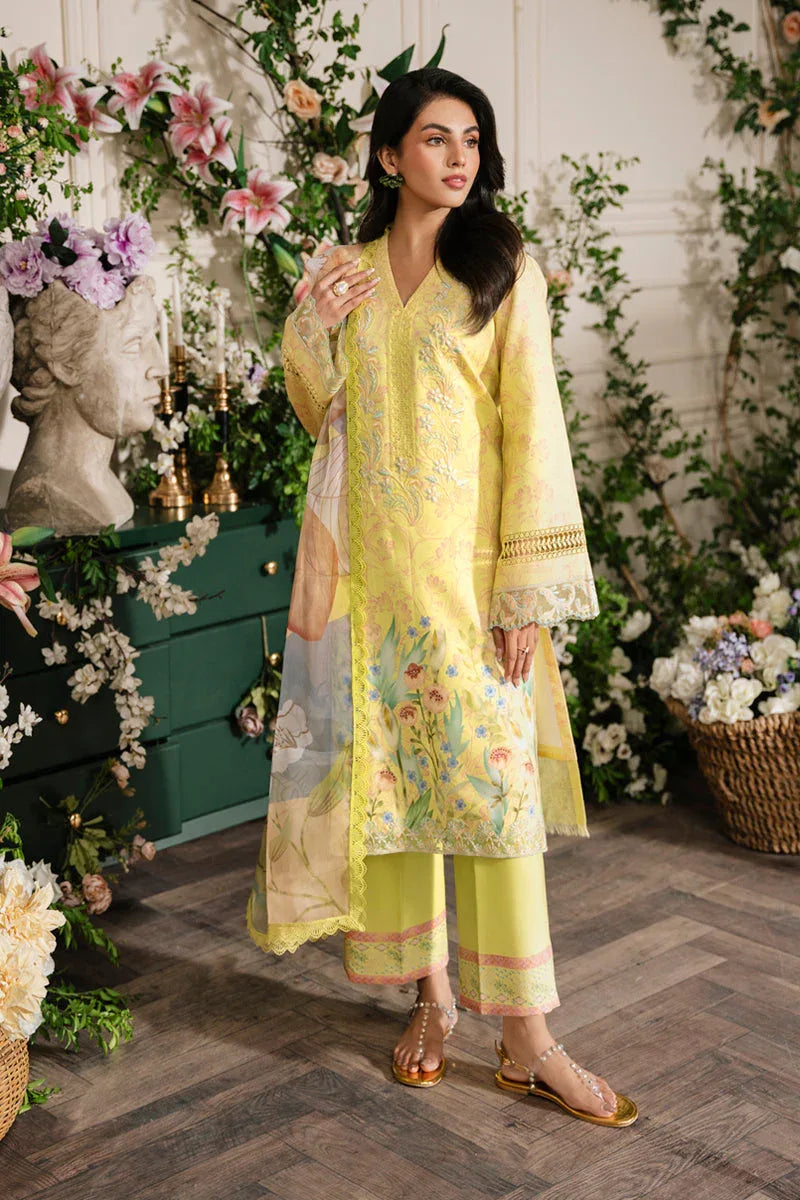 Rangrasiya | Lifestyle Embroidered Edit 24 | SUN KISSED - Aqsa Fabrics