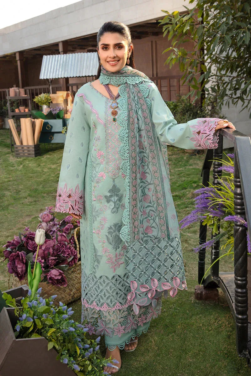 Rangrasiya | Premium Collection 24 | AMYRA - Aqsa Fabrics