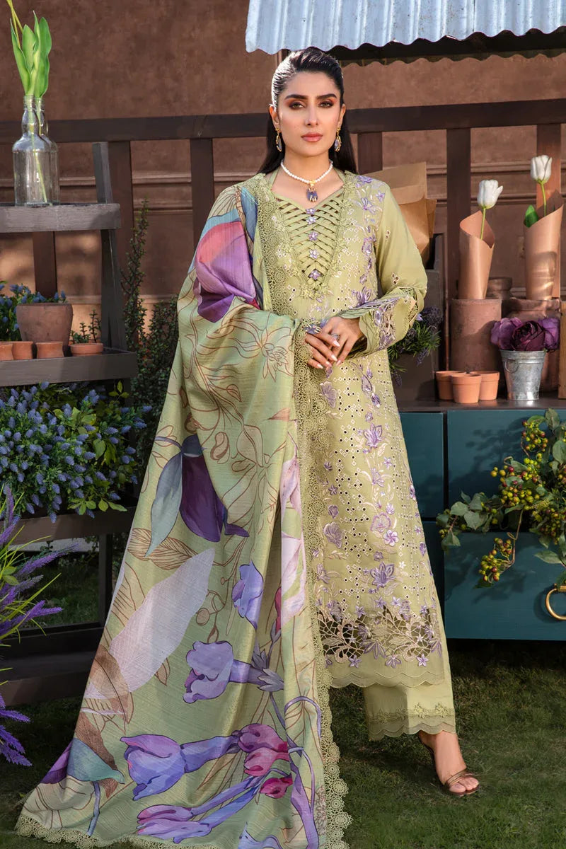 Rangrasiya | Premium Collection 24 | AYSEL - Aqsa Fabrics